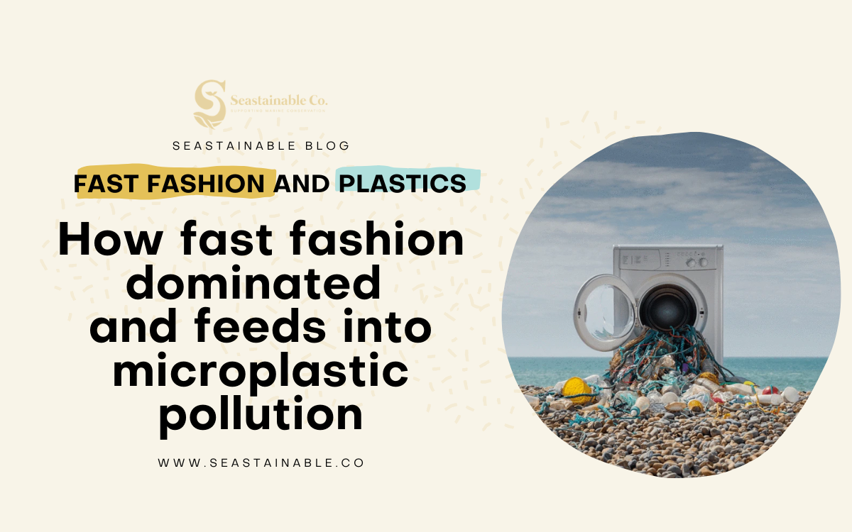 Our Clothes Are Polluting the Ocean: How fast fashion dominated and feeds into microplastic pollution