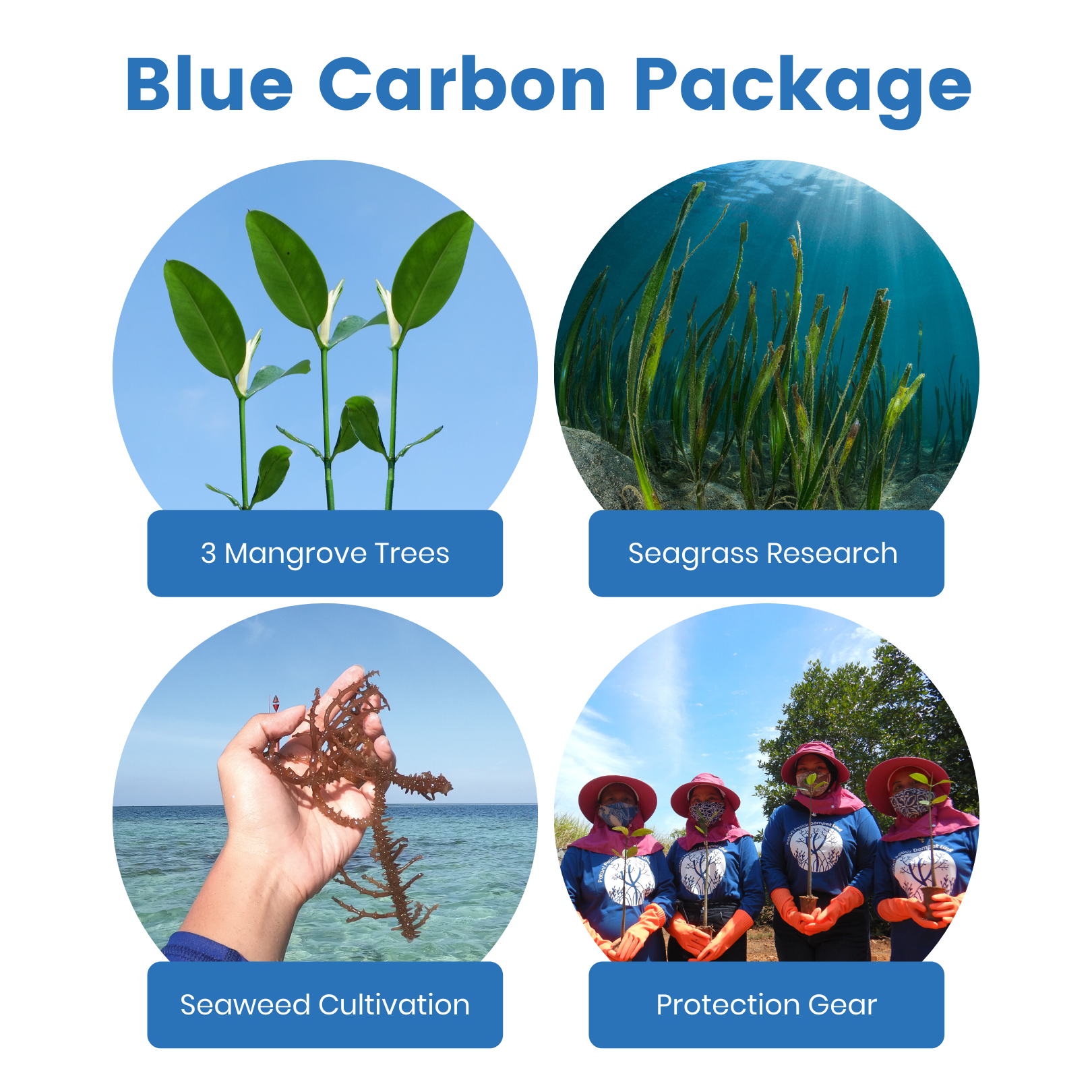 Blue Carbon Plans | Offset your carbon footprint