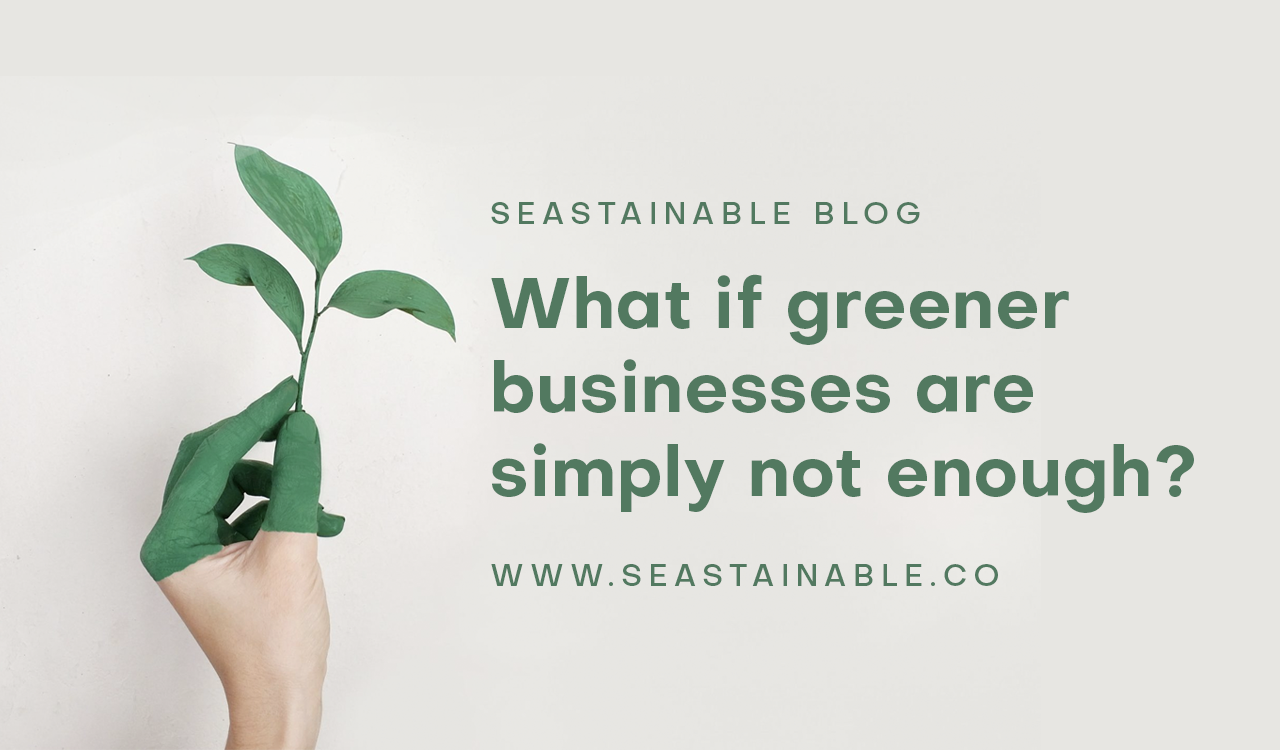 Are we hypocrites for running a green business?