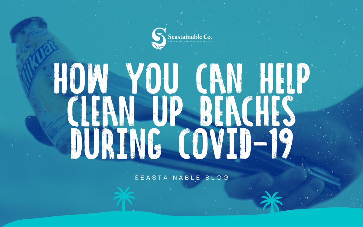 How you can help clean up beaches during COVID-19