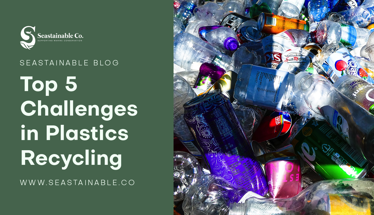 Top 5 Challenges in Plastics Recycling