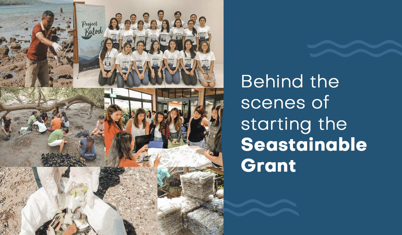 Birth pains and behind the scenes of our Seastainable Grant