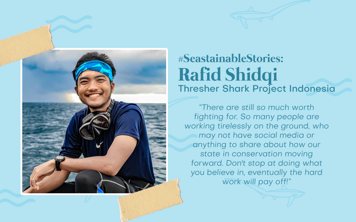#SeastainableStories - Rafid Shidqi, Thresher Shark Project Indonesia