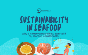 Sustainability in Seafood | Singapore