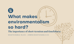 What Makes Environmentalism So Hard? Short-Termism and the Importance of Timefulness