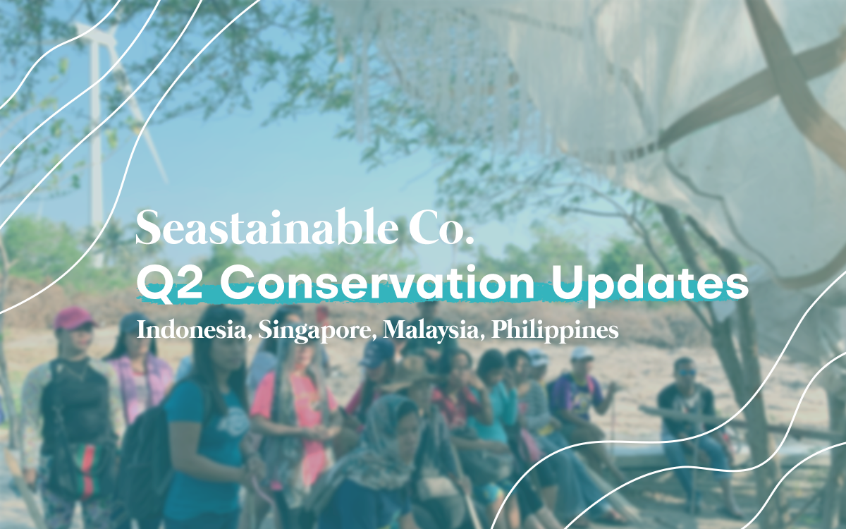 Seastainable Initiatives for Marine Conservation | Q2 Updates