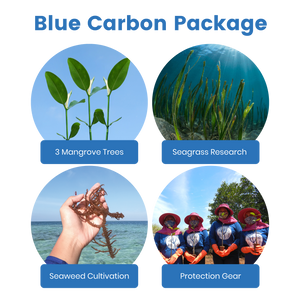 Blue Carbon Plans | Offset your carbon footprint